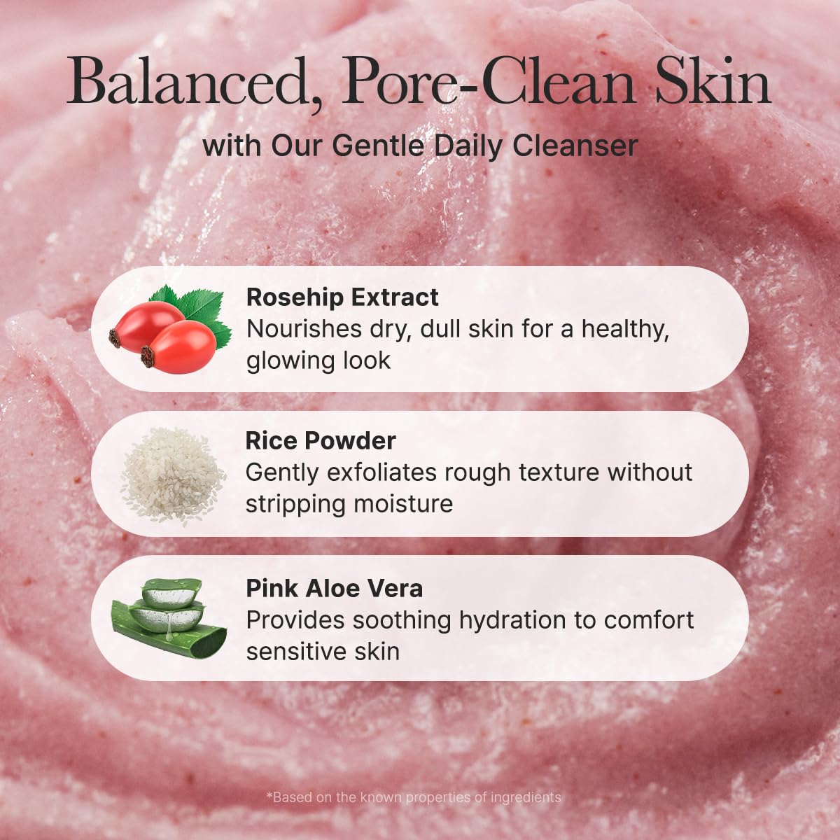 Arencia Fresh Rosehip Rice Mochi Cleanser 4.23oz