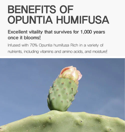 Cactus ingredient Opuntia humifusa shown with hydration claims